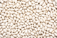 Navy Beans