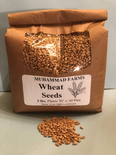 Muhammad Farms Wheat Seeds