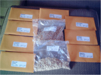 Vegetable Gardening Seeds - non-GMO