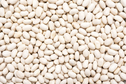 Navy Beans
