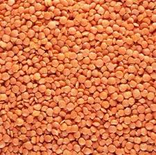 Red Lentils